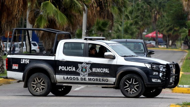 Hallan siete cadáveres con señas de violencia en Lagos de Moreno