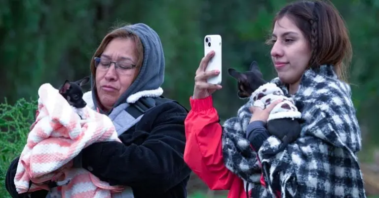 Onda fría traerá nevadas, vientos y lluvias del 19 al 22 de enero a estos estados