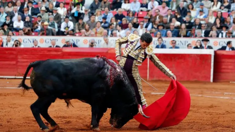 Toreros buscan amparo contra prohibición de ‘corridas con sangre’ en CDMX